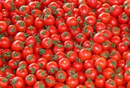 ddos压力测试平台