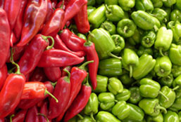 ip攻击器网页版ddos