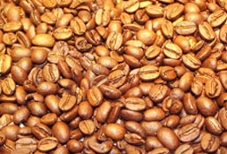 网站攻击工具手机版